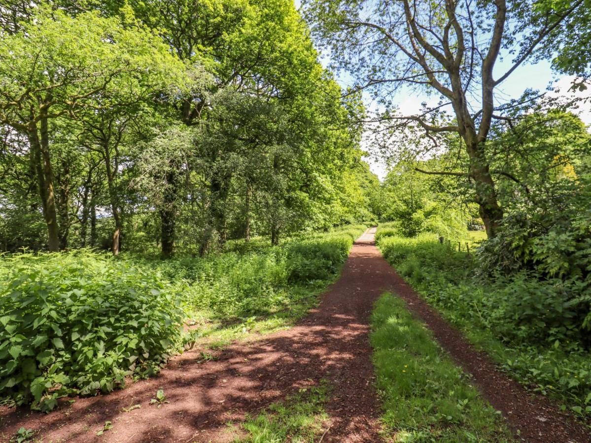 1 Greenway Cinderford المظهر الخارجي الصورة